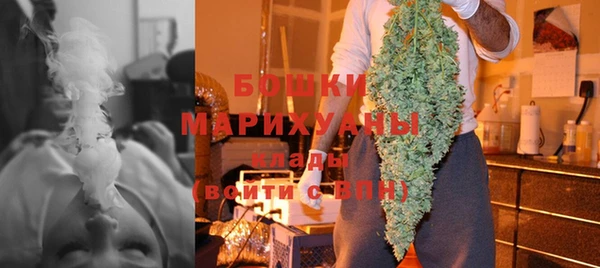 не бодяженный Заводоуковск