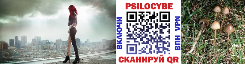 Галлюциногенные грибы Magic Shrooms  Купить  Ефремов 