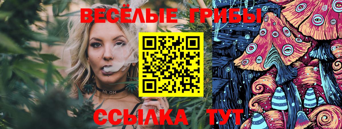 Псилоцибиновые грибы Psilocybe  Вход с VPN  Ефремов 